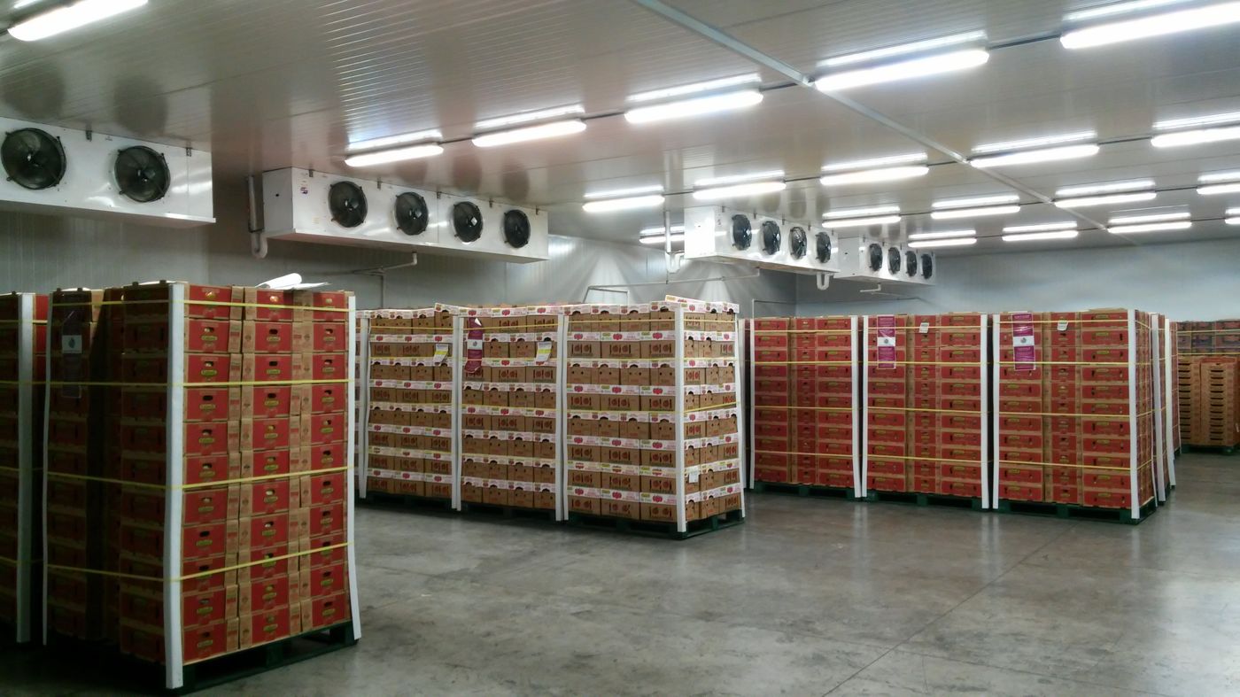Cuarto frío de conservación de alimentos
